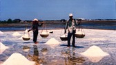 Nắng nóng, diêm dân ĐBSCL được mùa
