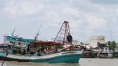 100% tàu đánh bắt xa bờ ở Kiên Giang lắp thiết bị giám sát hành trình