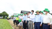 Chủ tịch nước Nguyễn Xuân Phúc khen ngợi mô hình Hội quán ở Đồng Tháp