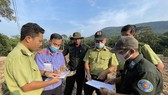 Kiên Giang: Lập tổ công tác đặc biệt để giữ rừng Phú Quốc