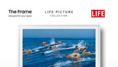  Samsung Electronics đã hợp tác cùng LIFE Picture Collection