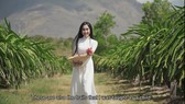 Đắm say với cảnh sắc Việt Nam qua video giới thiệu của Đoàn Hồng Trang tại Miss Global International 2022