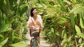Quảng Nam “tung” clip khám phá điểm du lịch xanh