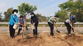Huyện Bình Chánh phát động chung tay bảo vệ môi trường, trồng cây xanh