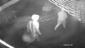 Hình ảnh những tên cướp cắt từ CCTV