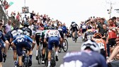 Tour of Britain 2021 thành công nhờ lượng khán giả đông đảo