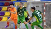 ĐT futsal Việt Nam trong lần so tài cùng Malaga trước đây. Ảnh: Anh Trần