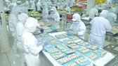 Food processing industry sees the highest number of enterprises shifting investment. (Photo: SGGP)