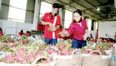 Agricultural product exports near US$34 billion