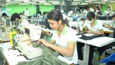 Workers are making clothes for export at a company in Ho Chi Minh City. (Photo: SGGP)