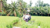 Agricultural production in Mekong Delta amid age of digital transformation
