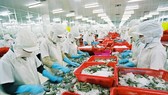 Vietnam poised to become world’s leading seafood processing center
