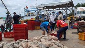 Mekong Delta provinces restart production chains