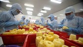 Room remains for Vietnamese processed fruit and veggie exports