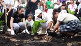 TPHCM trồng cây phủ xanh đô thị, lan tỏa lối sống xanh