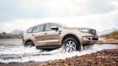 Everest lập kỷ lục mới, đạt doanh số tháng cao nhất từ trước đến nay