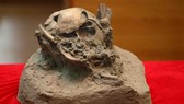 A copy of the remains of a young boy found in a volcanic cave. (Source: VNA)