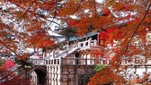 UNESCO World Heritage Site Bulguksa Temple in Gyeongju