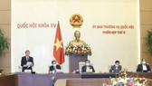 Vice NA Chairman Nguyen Duc Hai speaks at the working session. (Photo: SGGP)