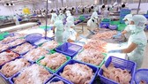 The exports of aquatic products are expected to fetch US$2.8-3 billion in the second quarter, a year-on-year increase of 36-38 percent, thanks to the strong growth of key products. (Photo: VNA)