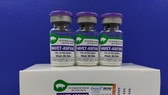 NAVET-ASFVAC experimental vaccine (Photo: VNA)