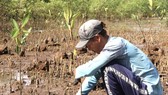 Trà Vinh trồng 2,1 triệu cây xanh