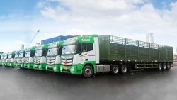 Thilogi cung ứng dịch vụ vận chuyển gia súc chuyên nghiệp