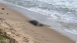 Vụ 7 thi thể trôi dạt vào bờ biển Phú Quốc: Phát hiện căn cước ghi chữ Trung Quốc
