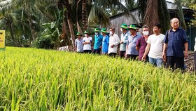 Các chuyên gia của Cty Bình Điền và Trug tâm khuyến nông các tỉnh luôn đồng hành cùng bà con nông dân áp dụng mô hình Canh tác lúa thông minh trong vụ Hè Thu 2021.