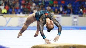 Đỗ Thị Ngọc Hương sẽ cùng đội tuyển TDDC dự Giải VĐTG 2021.