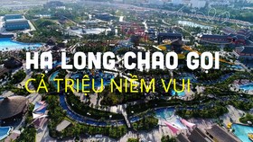 Top những trải nghiệm nhất định phải thử khi đến thành phố di sản Hạ Long