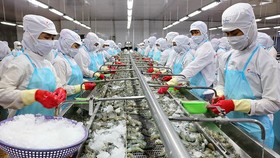 Doanh nghiệp tìm thấy cơ hội xuất khẩu thuỷ sản trong thời Covid