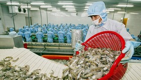 Từ tháng 6 xuất khẩu thuỷ sản sang Mỹ sẽ tăng mạnh