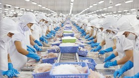 TPHCM dẫn đầu cả nước xuất khẩu thuỷ sản 5 tháng đầu năm