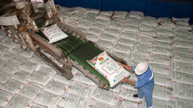 Phân bón Cà Mau giảm xuất khẩu, ưu tiên thị trường trong nước