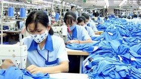 Bác đề xuất bỏ quy định nộp thuế VAT với vải trong nước sử dụng may xuất khẩu