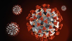 Không chỉ tổn hại phổi, SARS-CoV-2 còn "tấn công" nội mạc mạch máu