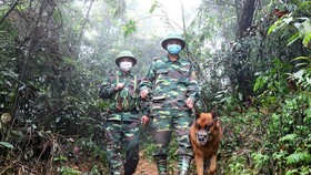 Border guards are patrolling in the borderline in the Central Province of Ha Tinh (Photo: SGGP)