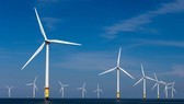 Ba Ria-Vung Tau permits study of offshore wind power development