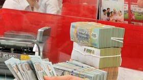 The State Bank of Vietnam set the daily reference exchange rate at VND23,141 per USD on January 18. (Photo: VNA)