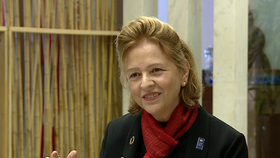 Resident Representative of the UN Development Programme (UNDP) in Vietnam Caitlin Wiesen (Photo: VNA)