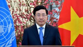Deputy Prime Minister and Minister of Foreign Affairs Pham Binh Minh (Photo: VNA)