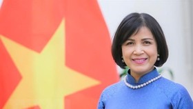 Ambassador Le Thi Tuyet Mai, Head of Vietnam’s Permanent Mission to the United Nations (UN), World Trade Organisation (WTO) and other international organisations in Geneva (Photo: VNA)