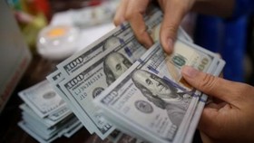The daily reference exchange rate was set at 23,151 VND/USD on March 2 (Photo: VNA)