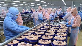Aquatic product exports hit US$1.64 bln in Q1