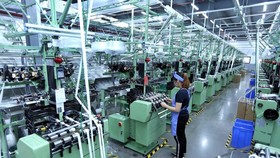 65 percent of Vietnamese family businesses expect to grow in 2021, and 75 percent expect to grow in 2022. — VNA/VNS Photo