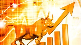 Unprecedented surge of new accounts in stock market