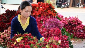 Low demand for flower, watermelon results in substantially lower prices