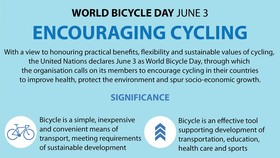 World Bicycle Day encourages cycling