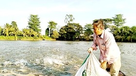 Feed price increase drives fish farmers to dispair